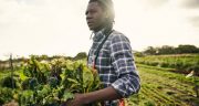 Shot of a young man holding a crate of freshly picked produce on a farm