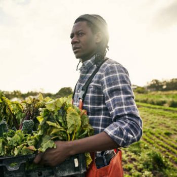 Shot of a young man holding a crate of freshly picked produce on a farm