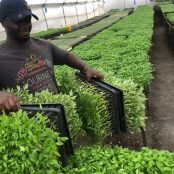 WhatsApp Image 2021-08-31 at 16.51.14